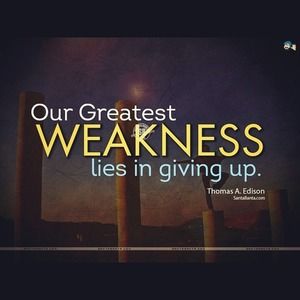 Meet your Posher, Wayne